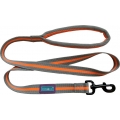 Dog & Co Sports Lead Orange 1" X 48"